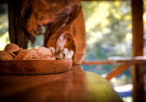 养生氛围